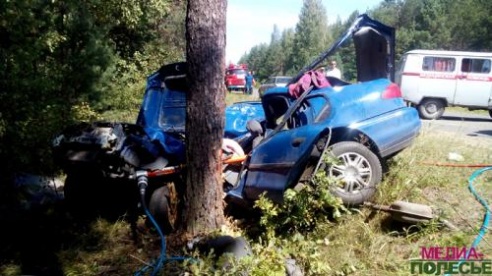 В Лунинецком районе женщина на «Форд» врезалась в сосну и погибла