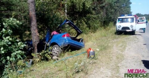 В Лунинецком районе женщина на «Форд» врезалась в сосну и погибла
