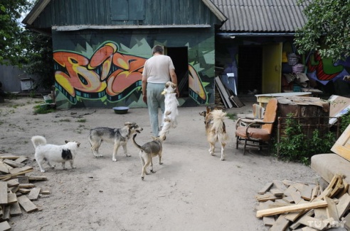 «Даже любимых собак оставляют в лесу привязанными к дереву». Репортаж о самом большом в Беларуси приюте для бездомных животных