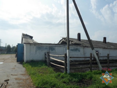 В Жлобинском районе из-за обрушения кровли коровника погибли две буренки