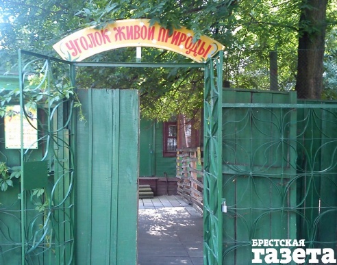 На свой родной город - другими глазами