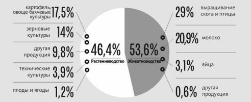 Взлеты и падения белорусского агропромышленного комплекса