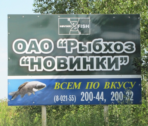 Навінкі: цудоўны куточак прыроды, працавітыя, шчырыя людзі