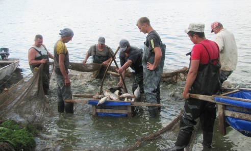 Навінкі: цудоўны куточак прыроды, працавітыя, шчырыя людзі