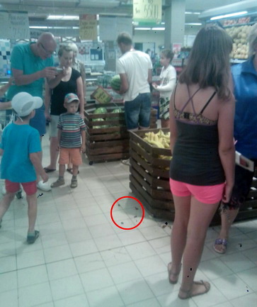 Дохлые мыши на полу магазина привлекли внимание могилевчан