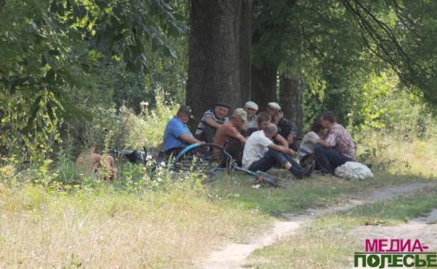 Яблочный ход в одной из Столинских деревень Яблочный ход в одной из Столинских деревень