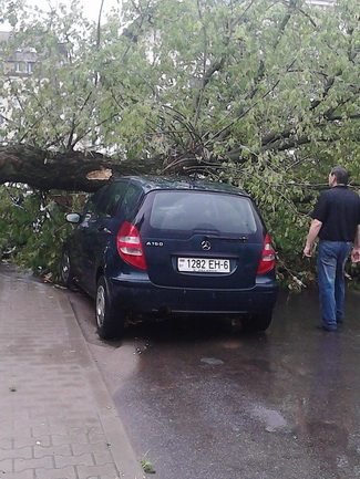 Последствия стихии в Могилёве: по колено воды, поваленные деревья и автомобильные пробки