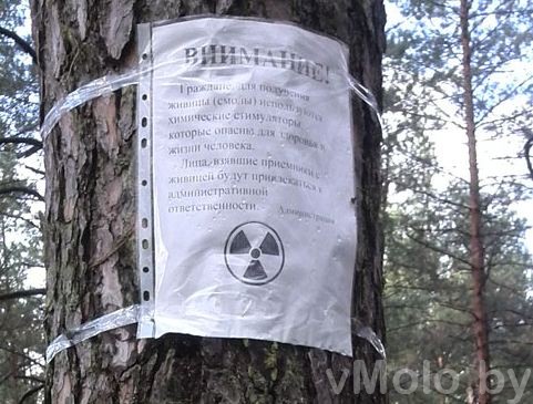 Фотофакт: опасная живица возле Доманово Фотофакт: опасная живица возле Доманово