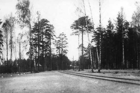 Ставка Верховного Главнокомандующего в 1914 году в Барановичах