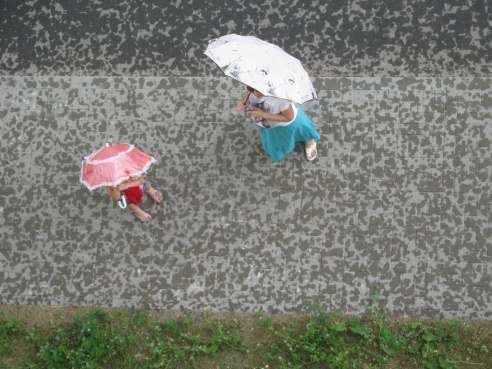 Долгожданный дождь. Фотографии случчан