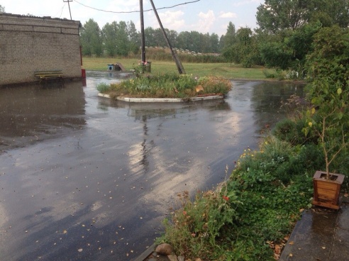 Долгожданный дождь. Фотографии случчан