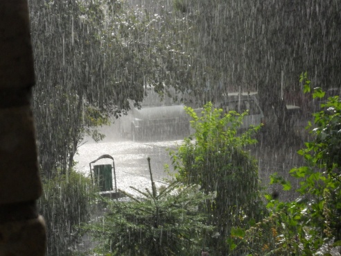 Долгожданный дождь. Фотографии случчан