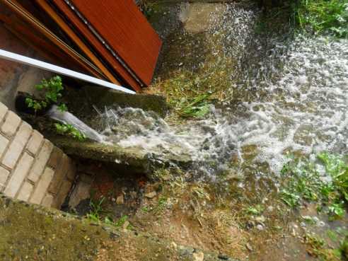 Долгожданный дождь. Фотографии случчан