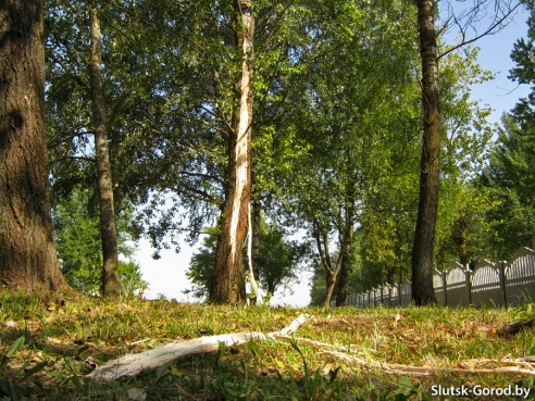 Жара, гроза и день происшествий