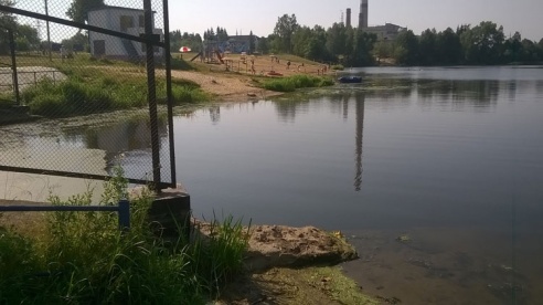 В Жодино река Плиса превратилась в зеленый "газон". Фото