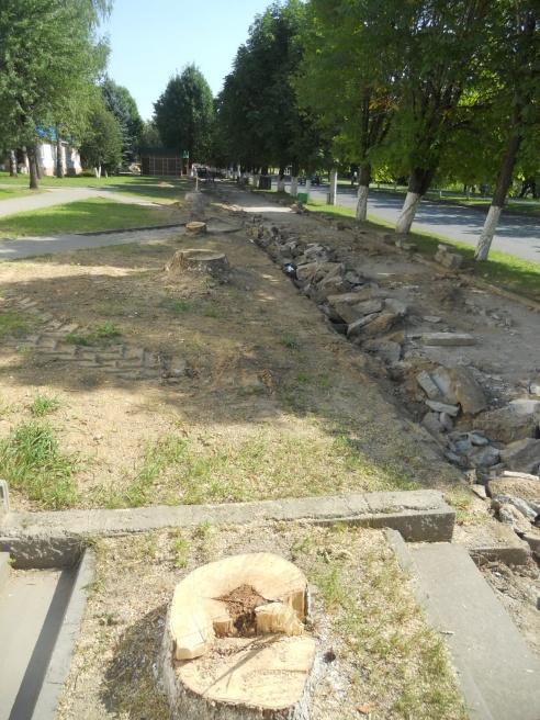 Еще без одной аллеи