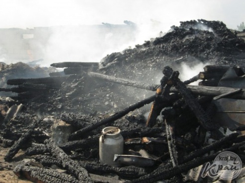 В деревне Старинки Ивенецкого сельсовета сгорел сарай со свиньями и сельхозтехникой (ФОТО)