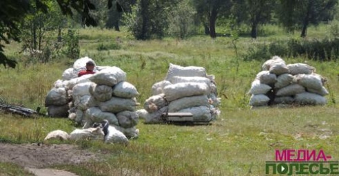 Яблочный ход в одной из Столинских деревень