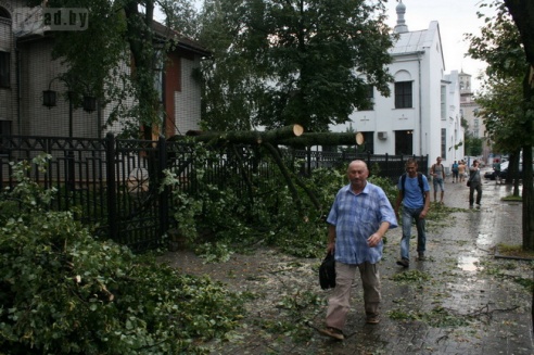 Последствия стихии в Могилёве: по колено воды, поваленные деревья и автомобильные пробки