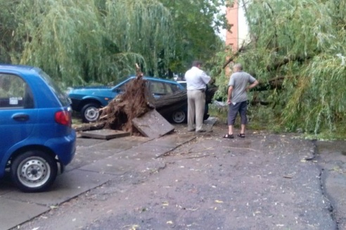 Последствия стихии в Могилёве: по колено воды, поваленные деревья и автомобильные пробки