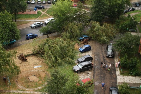 Последствия стихии в Могилёве: по колено воды, поваленные деревья и автомобильные пробки