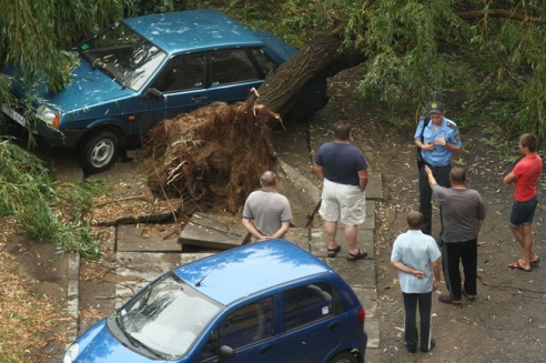 Последствия стихии в Могилёве: по колено воды, поваленные деревья и автомобильные пробки