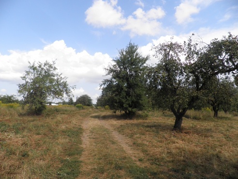 Фото памятника жертвам гетто