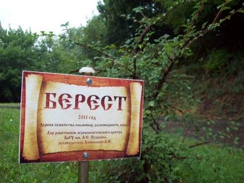 Музей «Берестье» предлагает лучше узнать город