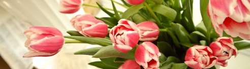 Могилёв после 23:00: где поесть, купить цветы, поиграть в бильярд и найти такси