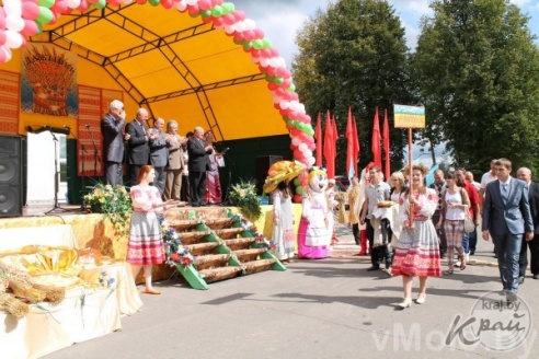 Фоторепортаж с засковических «Дожинок»