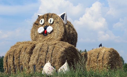 Креатив из соломы по дороге в Лиозно