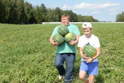 Александр Лукашенко босиком собирал арбузы и дыни на поле возле резиденции (ФОТО, ВИДЕО)