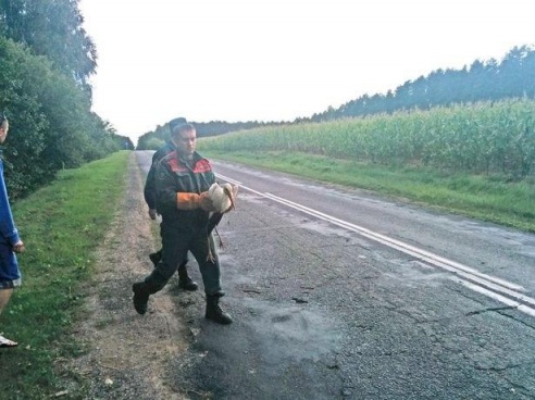 Хто дапаможа патрапіўшым у бяду дзікім жывёлам і птушкам?
