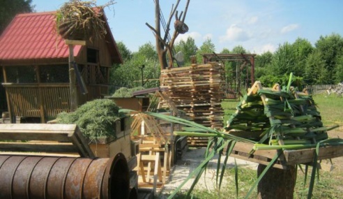 На Столинщине помогают уткам