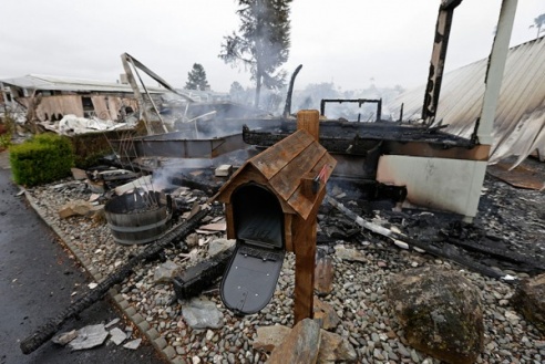 В США в штате Калифорния из-за сильного землетрясения пострадали 170 человек (ФОТО)