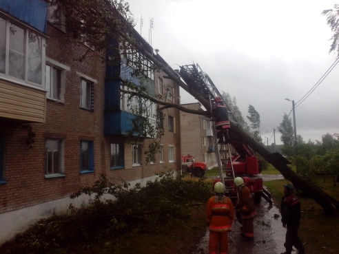 В Греске дерево упало на дом
