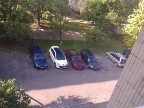 Хулиганами разбито более 30 автомобилей за ночь в Молодечно