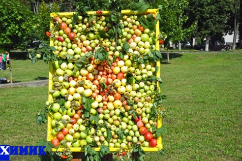 В Полоцке отпраздновали яблочный Спас: фоторепортаж