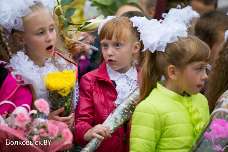 Гимназия 1 волковыск. Школа 7 Волковыск. Школа 7 Волковыска линейка. СШ 6 Волковыск официальный сайт.