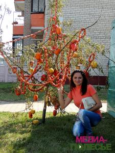 На Столинщине чествовали хлеборобов На Столинщине чествовали хлеборобов