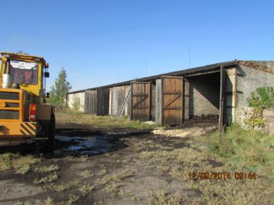 В Давид-Городке бдительный электрик спас от огня зимний запас торфобрикета В Давид-Городке бдительный электрик спас от огня зимний запас торфобрикета
