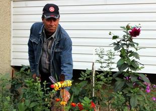 Люди в городе: могилевчане, которые выращивают цветы у своих подъездов