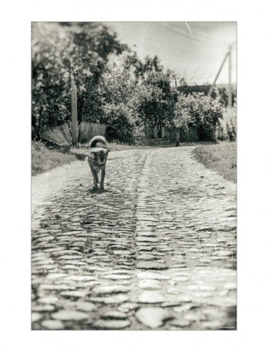 На адкрыцці выставы фотаздымкаў «Спадчына Вілейшчыны» 17 верасня адзначылі аўтараў лепшых работ (ФОТА)