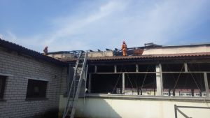 Эвакуировано 100 голов