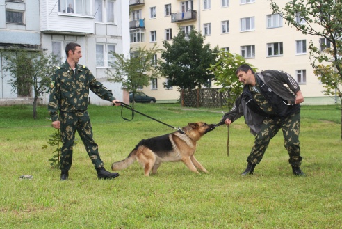 Дождж настрою не перашкода. У мікрараёне шостага гарадка адбылося традыцыйнае свята (+фота)