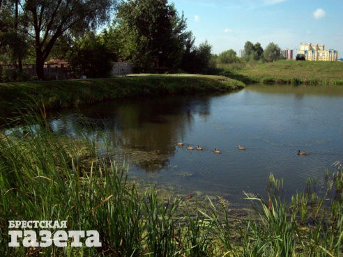 Особенности городской рыбалки