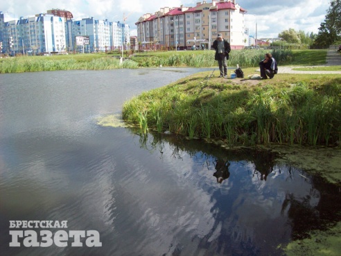 Особенности городской рыбалки