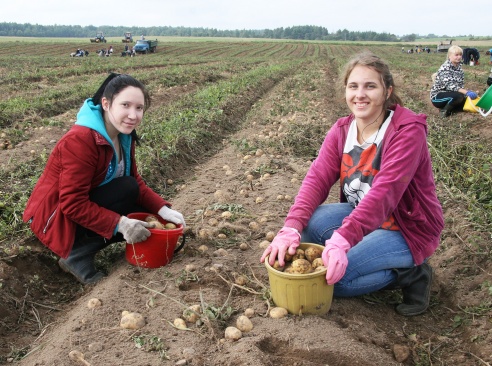 Паклікаў званок… у поле (+фота)
