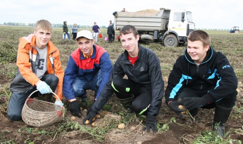 Паклікаў званок… у поле (+фота)