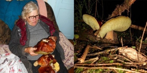 Художник c Молодечно: «Таких грибов я еще не видел» (+ фото)
